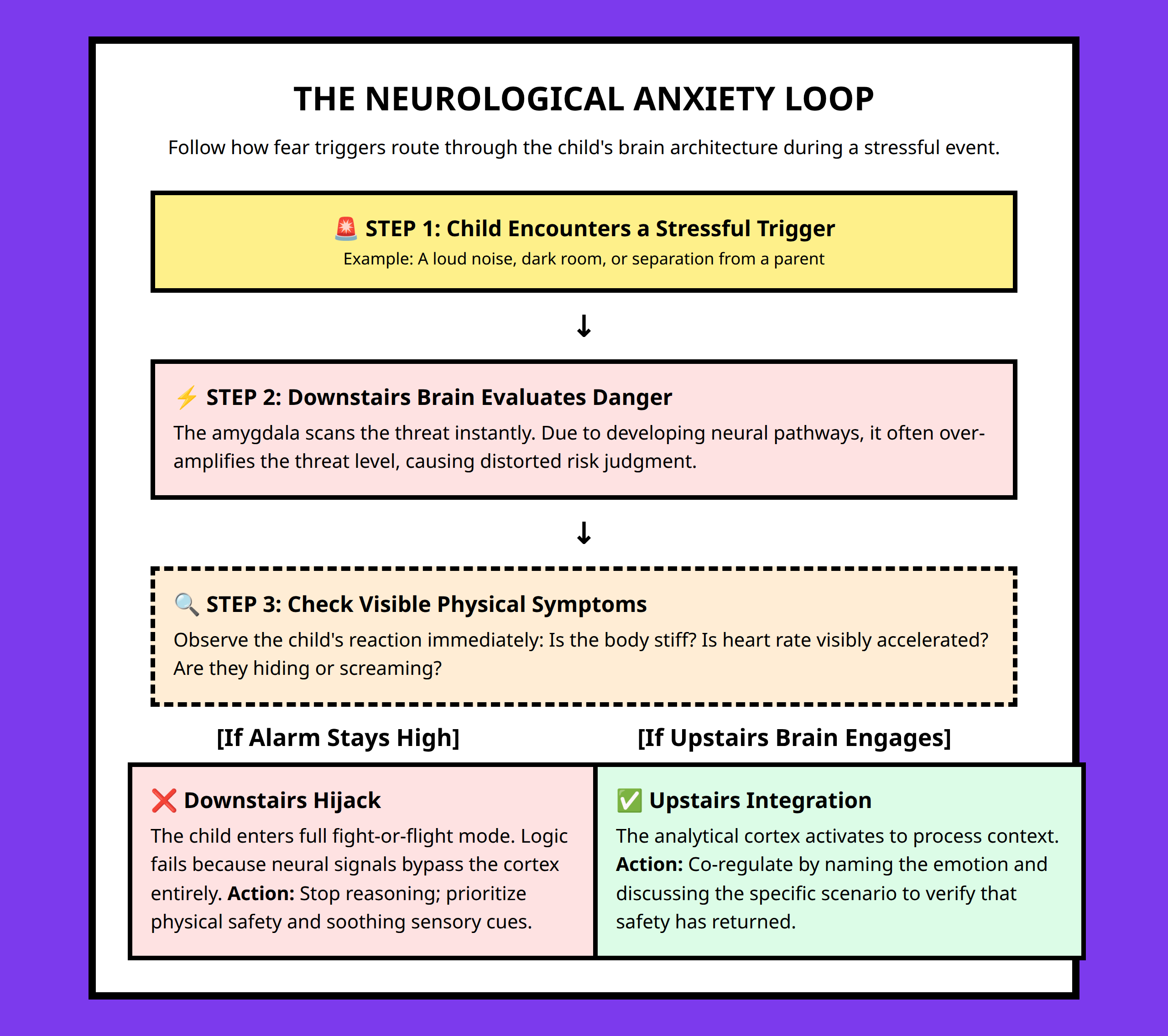 Flowchart showing step-by-step childhood anxiety brain response processing loops.